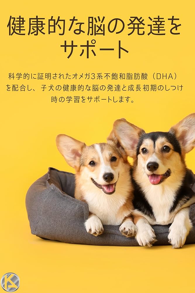 ロイヤルカナン　ミニインドアパピー　10kg ミニ インドア パピー (室内 小型 子犬用 ドライ） | Royal Canin JP